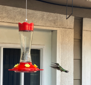 Spiritual Awakening Way - Source Connection