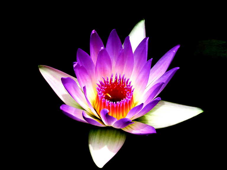 How do I learn to meditate - Spiritual Awakening Way