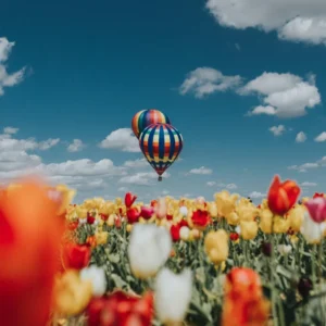 Spiritual Awakening Way - Symptoms of Spiritual Awakening